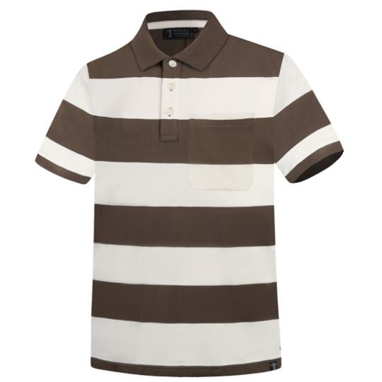 Pilbara Men's Y/D Striped Pocket Polo