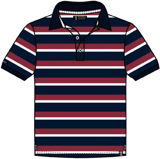 Pilbara Mens Y/D Striped Polo