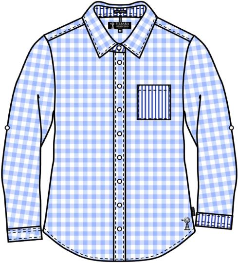Pilbara Ladies Y/D Check Stripe L/S Shirt