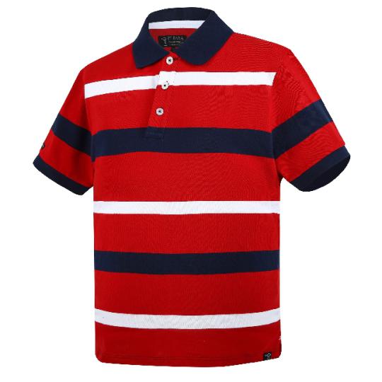 Pilbara Men's Y/D Striped Polo