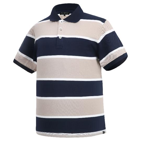 Pilbara Men's Y/D Striped Polo