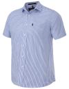 Blue-White
