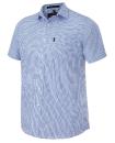 Blue-White